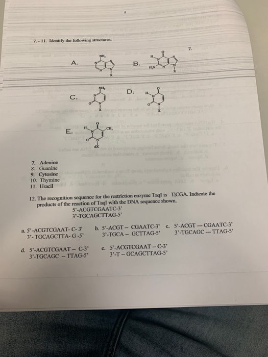 7-11. Identify the following structures 7. Adenine 8. Cuanine 9. Cytosine 10. Thymine 11. Uracil 12. The recognition sequence