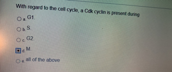With regard to the cell cycle, a Cdk cyclin is present during O a G1 Obs. Oc G2 OM o e all of the above