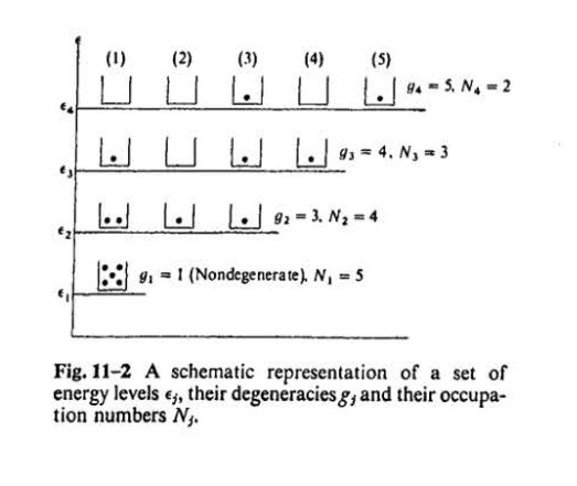 ,:] g,-I (Nondegenerate), N, 5 Fig. 11-2 A schematic representation of a set of energy levels e, their degeneracies gj and their occupa tion numbers N.