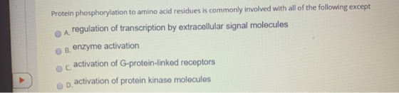 Protein phosphorylation to amino acid residues is commonly involved with all of the following except A regulation of transcri