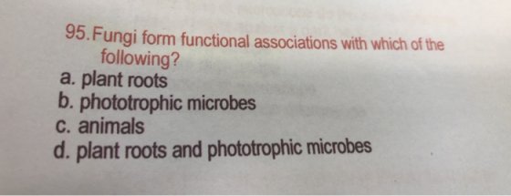95.Fungi form functional associations with which of the following? a. plant roots b. phototrophic microbes C. animals d. plan