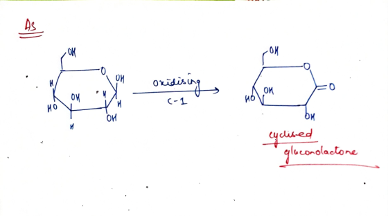 20. ой oxidising ио OM c-1 br cyclised gluconolactone