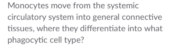 Monocytes move from the systemic circulatory system into general connective tissues, where they differentiate into what phago