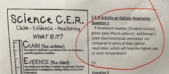 Science C.E.R. Claim - Evidence - Reasoning WHAT IS IT? C-E-R Activity on Cellular Respiration Question 1 If mealworm beetles