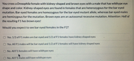You cross a Drosophila female with kidney-shaped and brown eyes with a male that has wildtype eye shape and color. Kidney-sha