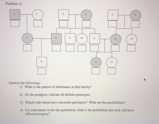 Problem A: Answer the following: 1) What is the pattern of inheritance in this family? 2) On the pedigree, indicate all defin