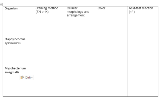 + Organism Staining method (ZN ork) Color Cellular morphology and arrangement Acid-fast reaction (+/-) Staphylococcus epiderm