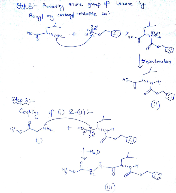 Leucine by Stettin Protecting amine. group of Benzyl ony corrbonyl-ehlourele con Hotel Deprotonation Hillinų Step 3: Coupling