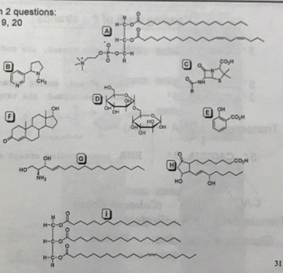 2 questions: 9, 20 NH2 H-C-O Ho oH cosH CO-H