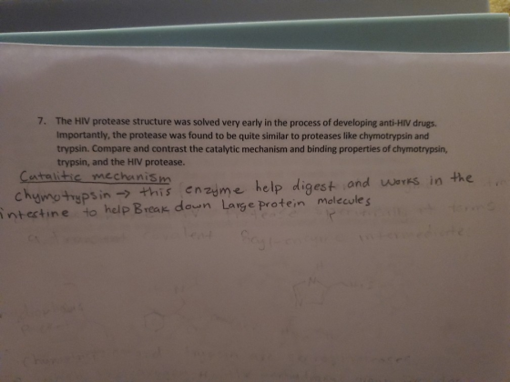 7. The HIV protease structure was solved very early in the process of developing anti-HIV drugs. Importantly, the protease wa