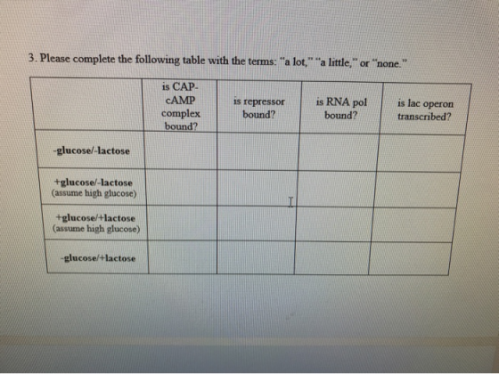 3. Please complete the following table with the terms: a lot, a little, or none. is CAP CAMP complex bound? is repressor