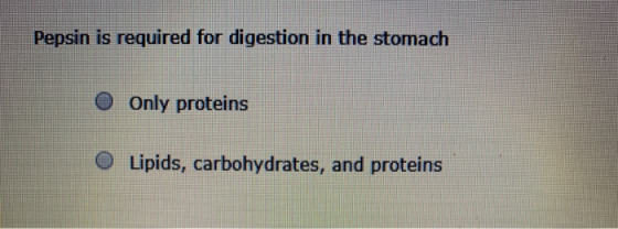 Pepsin is required for digestion in the stomach O Only proteins O Lipids, carbohydrates, and proteins