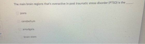 The main brain regions thats overactive in post traumatic stress disorder (PTSD) is the . pons cerebellum amydgala brain stem