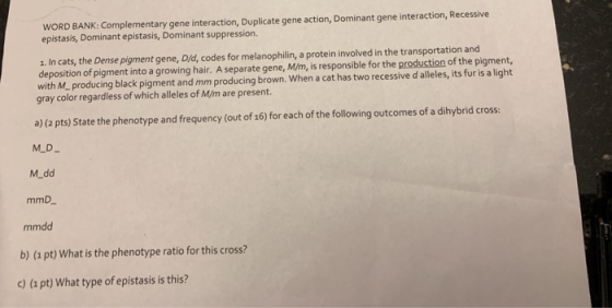 WORD BANK: Complementary gene interaction, Duplicate gene action, Dominant gene interaction, Recessive epistasis, Dominant ep