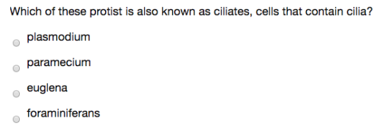 Which of these protist is also known as ciliates, cells that contain cilia? plasmodium paramecium euglena foraminiferans