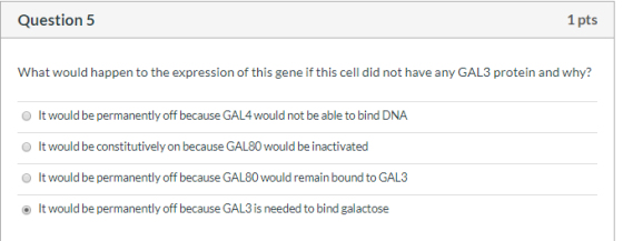Question 5 1 pts What would happen to the expression of this gene if this cell did not have any GAL3 protein and why? It woul