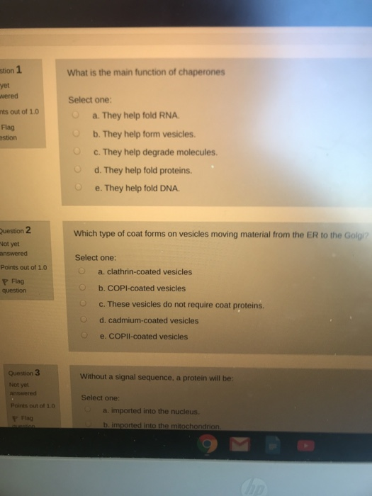 What is the main function of chaperones stion 1 yet wered ints out of 1.0 Flag estion Select one: a. They help fold RNA. b. T