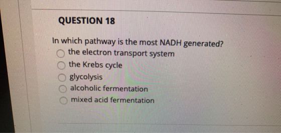 QUESTION 18 In which pathway is the most NADH generated? the electron transport system the Krebs cycle glycolysis alcoholic f