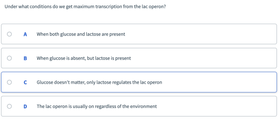 Under what conditions do we get maximum transcription from the lac operon? O A When both glucose and lactose are present o B