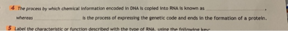 4 The process by which chemical information encoded in DNA is copied into RNA is known as whereas is the process of expressin