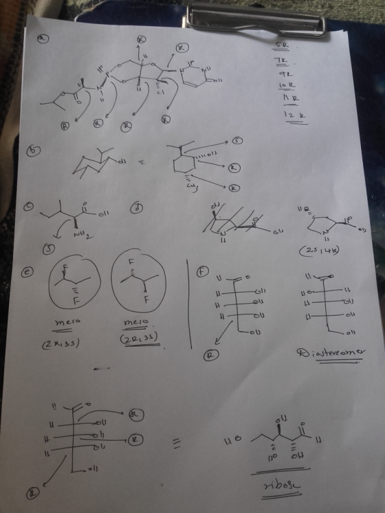TL ENIL 12 2 (4 2.5 1L F mero mero 22135) 2 Kiss) Diasteveomr 11 ribose