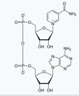 NH2 0=p-o Он он NH2 N 0=P-о. ОН ОН