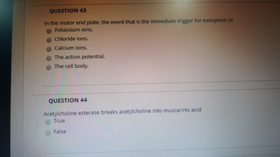 QUESTION 43 In the motor end plate, the event that is the immediate trigger for exocytosis is: e Potassium ions. chloride ions. . Calcium ions. e The action potential. The cell body. QUESTION 44 Acetyicholine esterase breaks acetylcholine into muscarinic acid True O False