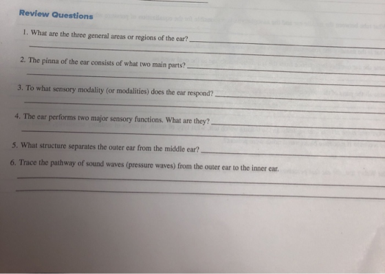 Review Questions 1. What are the three general areas or regions of the ear? – 2. The pinna of the ear consists of what two ma