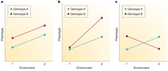 Genotype A Genotype B Genotype A Genotype B e Genotype A Genotype B Environment Environment Environment