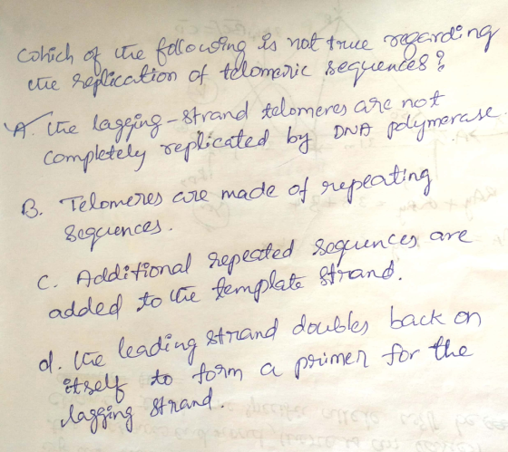 ng-strand telomere ane not nce are at Strand of e leading gtrand dable back on to foam ime and