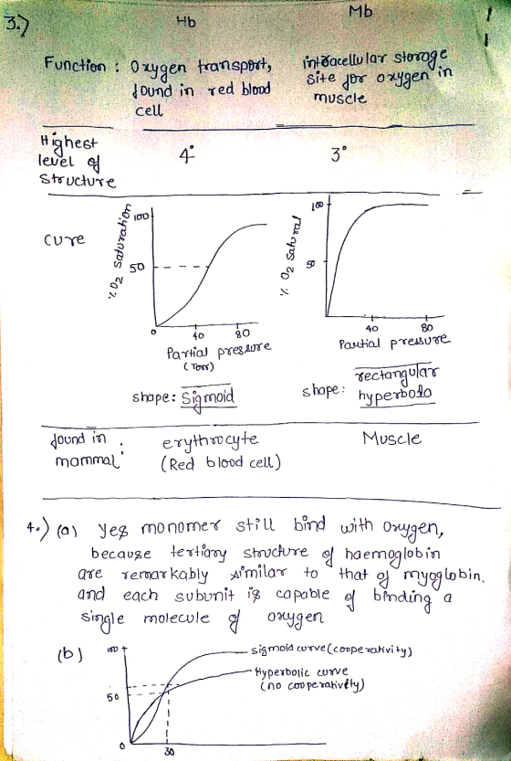 Mb Hb Function : Oxygen transport, found in red blood intéracellular sloroge site for oxygen in muscle cell Highest level of