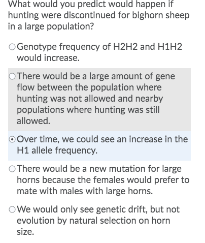 What would you predict would happen if hunting were discontinued for bighorn sheep in a large population? Genotype frequency