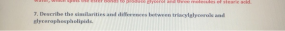 ter, wensenester Donas to produce glycerol and three molecules of stearic acid. 7. Describe the similarities and differences