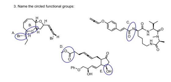 3. Name the circled functional groups: O A - Br.H Kos 1.17 AN BH PhsaÍ EVOH OH OH