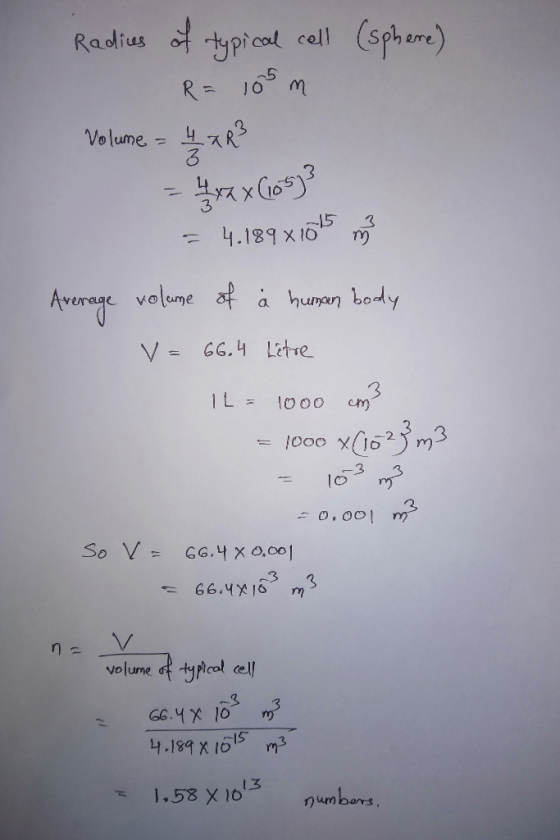 picod cell (sph eme) Raolius 5 Volume.XR 3 15 3 4.189 x Io Avenage volume af a human body -3 So V= GG.Yxo.ool 66 416 rm volum