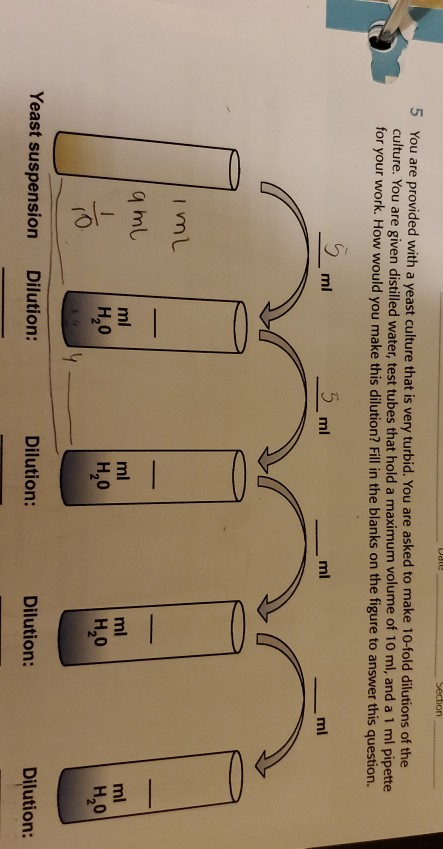o Section 5 You are provided with a yeast culture that is very turbid. You are asked to make 10-fold dilutions of the culture
