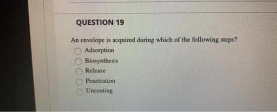 QUESTION 19 An envelope is acquired during which of the following steps? Adsorption Biosynthesis Release Penetration Uncoatin
