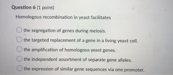 Question 6 (1 point) Homologous recombination in yeast facilitates the segregation of genes during meiosis. O the targeted re