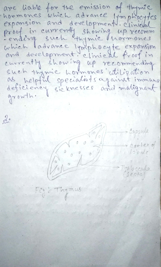are liable for the emission of thymic. hormones which adrance lymphocytes expansion and development. Clinieval proof in curre