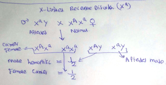 x-Lines Recesve OSovlh. (ya) Attevel A Ftee mole 2
