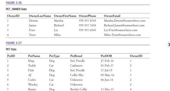 FIGURE 3-26 PET_OWNER Data Owner ID 1 2 Owner LastName OwnerFirstName Owner Phone Downs Marsha 555-537-8765 James Richard 555