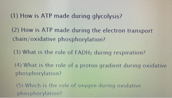 (1) How is ATP made during glycolysis? (2) How is ATP made during the electron transport chain/oxidative phosphorylation? (3)