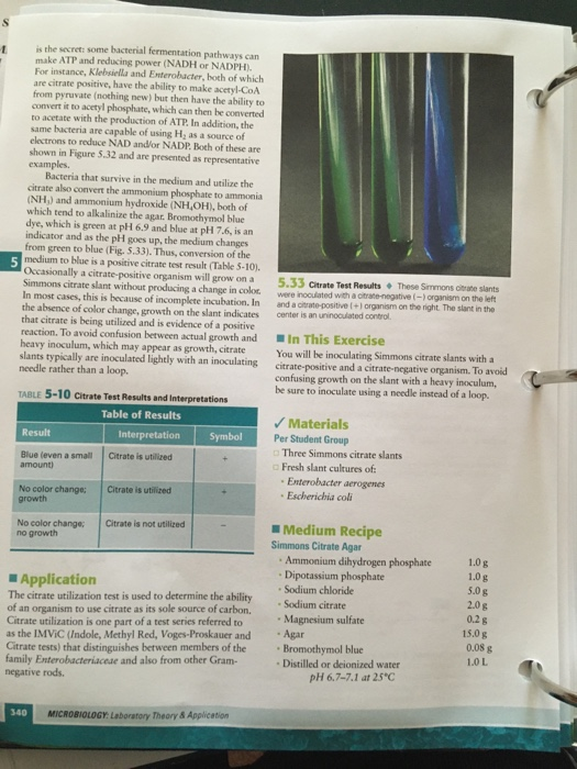 is the secret some bacterial fermentation pathways can make ATP and reducing power (NADH or NADPH For instance, Klebsiella an