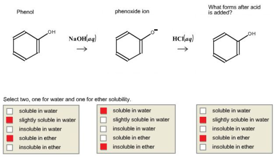 What forms after acid is added? Phenol phenoxide ion NaOH aq) HClaa) Select two, one for water and one for ether solubility soluble in water slightly soluble in wat insoluble in water soluble in ether insoluble in ether soluble in water slightly soluble in water insoluble in water soluble in ether insoluble in ether soluble in water slightly soluble in water insoluble in water soluble in ether insoluble in ethe