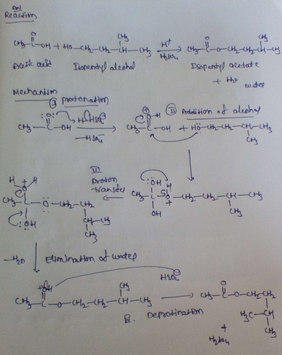 Hh esdep MerhaNi Addition aleon-) pradtm : OH ot : 0H 1804