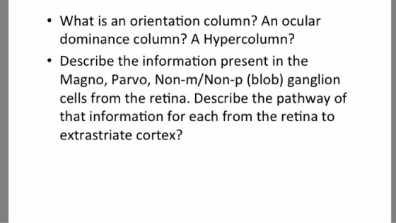What is an orientation column? An ocular dominance column? A Hypercolumn? Describe the information present in the Magno, Parvo, Non-m/Non-p (blob) ganglion cells from the retina. Describe the pathway of that information for each from the retina to extrastriate cortex?