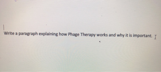 Write a paragraph explaining how Phage Therapy works and why it is important. I
