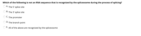 Which of the following is not an RNA sequence that is recognized by the spliceosome during the process of splicing? O A. The