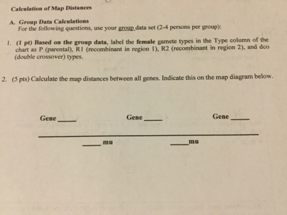 Calculation of Map Distances A. Group Data Calculations For the following questions, use your group data set (2-4 persons per group): 1. (1 pt) Based on the group data, label the female gamete types in the Type column of the chart as P (parental), RI (recombinant in region 1), R2 (recombinant in region 2), and dco (double crossover) types. 2. (5 pts) Calculate the map distances between all genes. Indicate this on the map diagram below. Gene_- Gene Gene - - mu mu