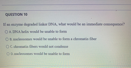 QUESTION 10 If an enzyme degraded linker DNA, what would be an immediate consequence? O A. DNA helix would be unable to form